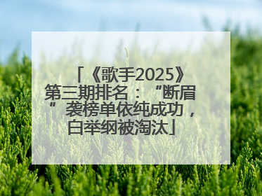 《歌手2025》第三期排名：“断眉”袭榜单依纯成功，白举纲被淘汰