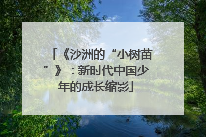 《沙洲的“小树苗”》：新时代中国少年的成长缩影