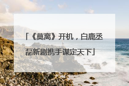 《莫离》开机，白鹿丞磊新剧携手谋定天下