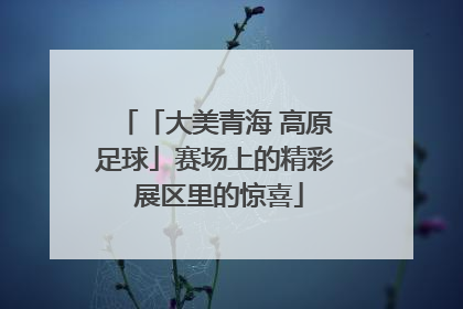 「大美青海 高原足球」赛场上的精彩 展区里的惊喜