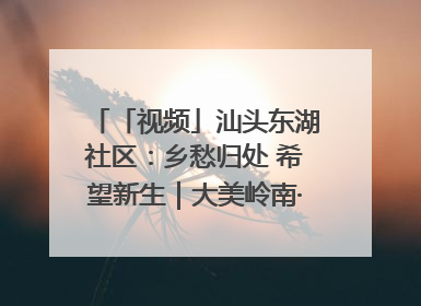「视频」汕头东湖社区：乡愁归处 希望新生｜大美岭南·百村焕新记