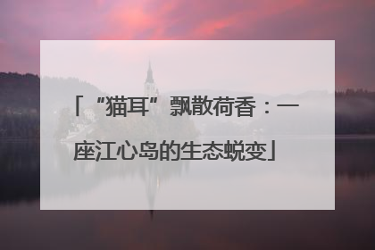 “猫耳”飘散荷香：一座江心岛的生态蜕变