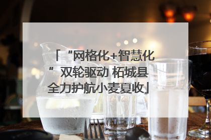 “网格化+智慧化”双轮驱动 柘城县全力护航小麦夏收