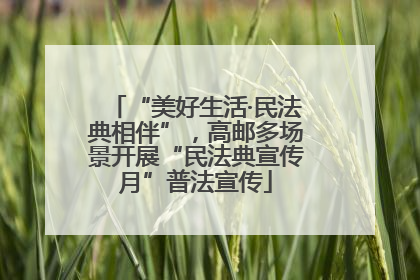 “美好生活·民法典相伴”，高邮多场景开展“民法典宣传月”普法宣传