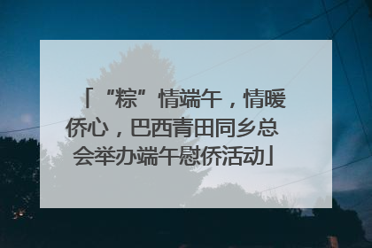 “粽”情端午，情暖侨心，巴西青田同乡总会举办端午慰侨活动