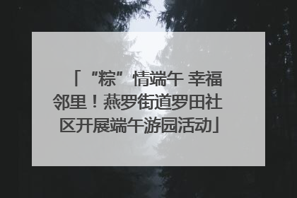 “粽”情端午 幸福邻里！燕罗街道罗田社区开展端午游园活动