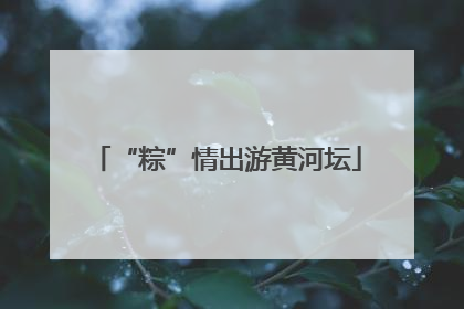 “粽”情出游黄河坛