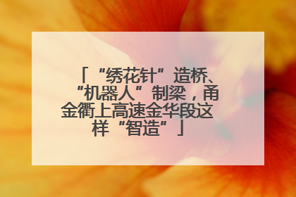 “绣花针”造桥、“机器人”制梁，甬金衢上高速金华段这样“智造”