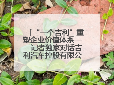 “一个吉利”重塑企业价值体系——记者独家对话吉利汽车控股有限公司行政总裁及执行董事桂生悦
