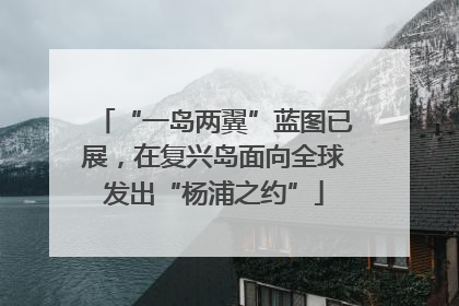 “一岛两翼”蓝图已展，在复兴岛面向全球发出“杨浦之约”
