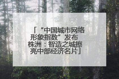 “中国城市网络形象指数”发布 株洲：智造之城擦亮中部经济名片