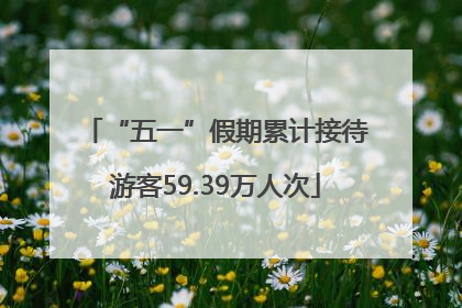 “五一”假期累计接待游客59.39万人次