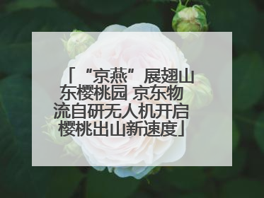 “京燕”展翅山东樱桃园 京东物流自研无人机开启樱桃出山新速度