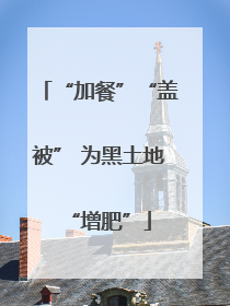“加餐”“盖被” 为黑土地“增肥”
