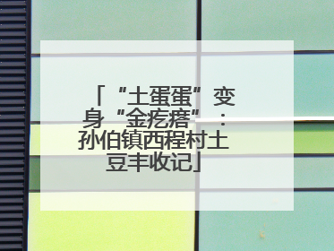 “土蛋蛋”变身“金疙瘩”：孙伯镇西程村土豆丰收记