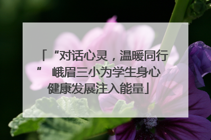 “对话心灵，温暖同行” 峨眉三小为学生身心健康发展注入能量
