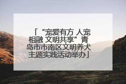 “宠爱有方 人宠相融 文明共享”青岛市市南区文明养犬主题实践活动举办