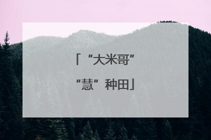 “大米哥”“慧”种田