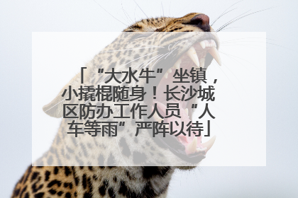 “大水牛”坐镇，小撬棍随身！长沙城区防办工作人员“人车等雨”严阵以待