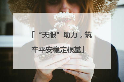 “天眼”助力，筑牢平安稳定根基