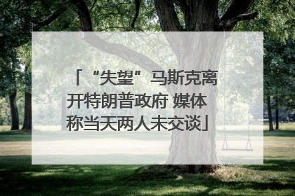 “失望”马斯克离开特朗普政府 媒体称当天两人未交谈