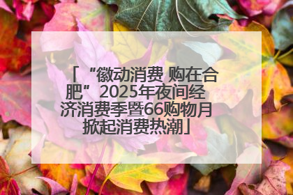 “徽动消费 购在合肥”2025年夜间经济消费季暨66购物月掀起消费热潮
