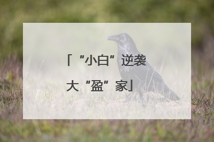 “小白”逆袭大“盈”家