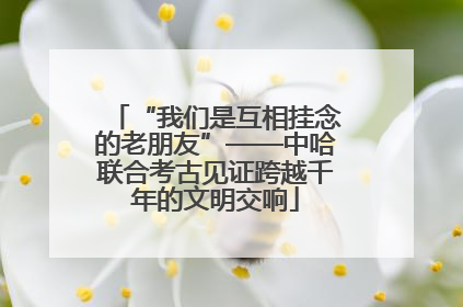 “我们是互相挂念的老朋友”——中哈联合考古见证跨越千年的文明交响