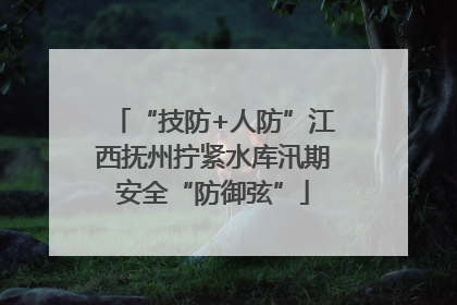 “技防+人防”江西抚州拧紧水库汛期安全“防御弦”