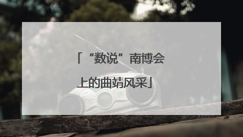 “数说”南博会上的曲靖风采