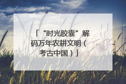 “时光胶囊”解码万年农耕文明（考古中国）