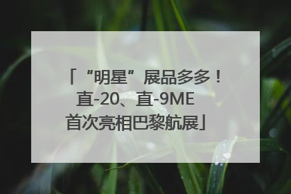 “明星”展品多多！直-20、直-9ME首次亮相巴黎航展