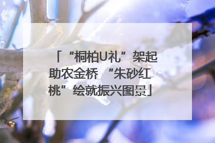 “桐柏U礼”架起助农金桥 “朱砂红桃”绘就振兴图景