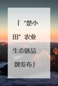 “楚小田”农业生态链品牌发布