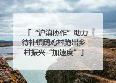 “沪滇协作”助力待补镇鹧鸡村跑出乡村振兴“加速度”