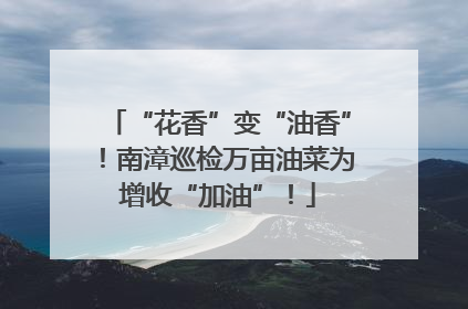 “花香”变“油香”！南漳巡检万亩油菜为增收“加油”！