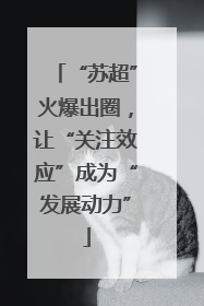 “苏超”火爆出圈，让“关注效应”成为“发展动力”