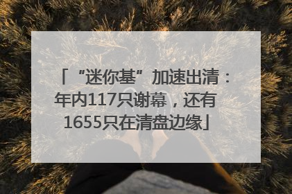 “迷你基”加速出清：年内117只谢幕，还有1655只在清盘边缘