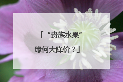 “贵族水果”缘何大降价？