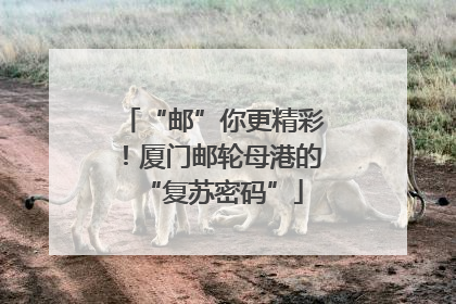 “邮”你更精彩！厦门邮轮母港的“复苏密码”
