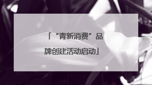 “青新消费”品牌创建活动启动