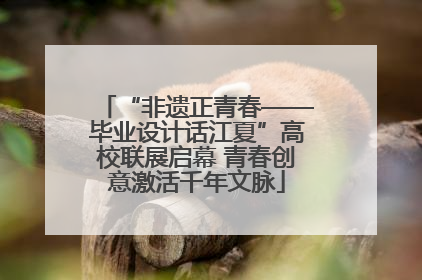 “非遗正青春——毕业设计话江夏”高校联展启幕 青春创意激活千年文脉