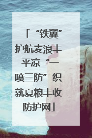 “铁翼”护航麦浪丰 平凉“一喷三防”织就夏粮丰收防护网