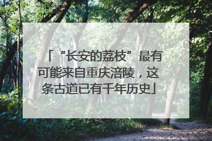 “长安的荔枝”最有可能来自重庆涪陵，这条古道已有千年历史