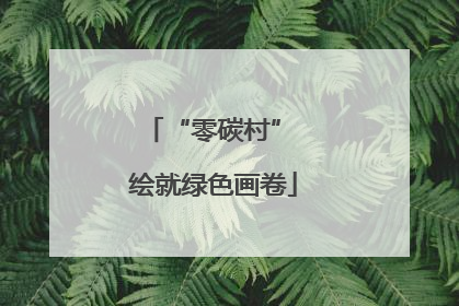 “零碳村” 绘就绿色画卷