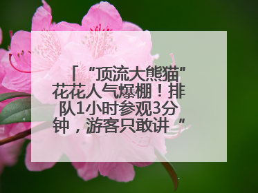 “顶流大熊猫”花花人气爆棚！排队1小时参观3分钟，游客只敢讲“悄悄话”