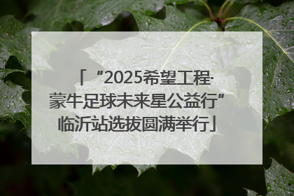 “2025希望工程·蒙牛足球未来星公益行”临沂站选拔圆满举行