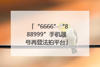 “6666”“888999”手机靓号再登法拍平台