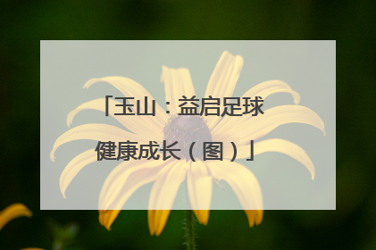 玉山：益启足球 健康成长（图）