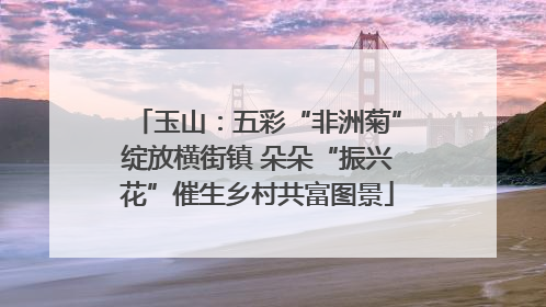 玉山：五彩“非洲菊”绽放横街镇 朵朵“振兴花”催生乡村共富图景